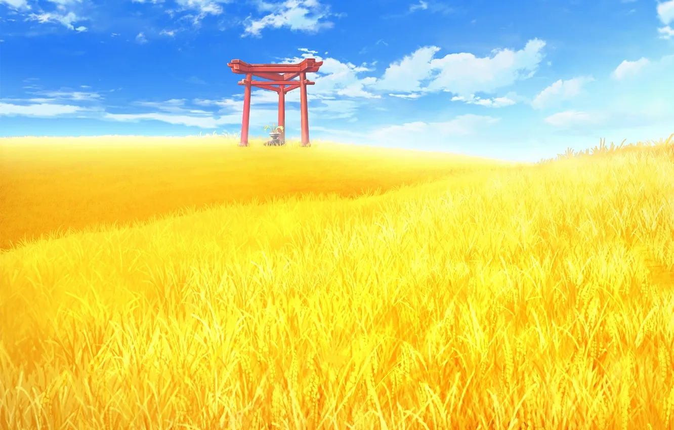 Фото обои пшеница, поле, облака, пейзаж, ваза, колосья, game, врата