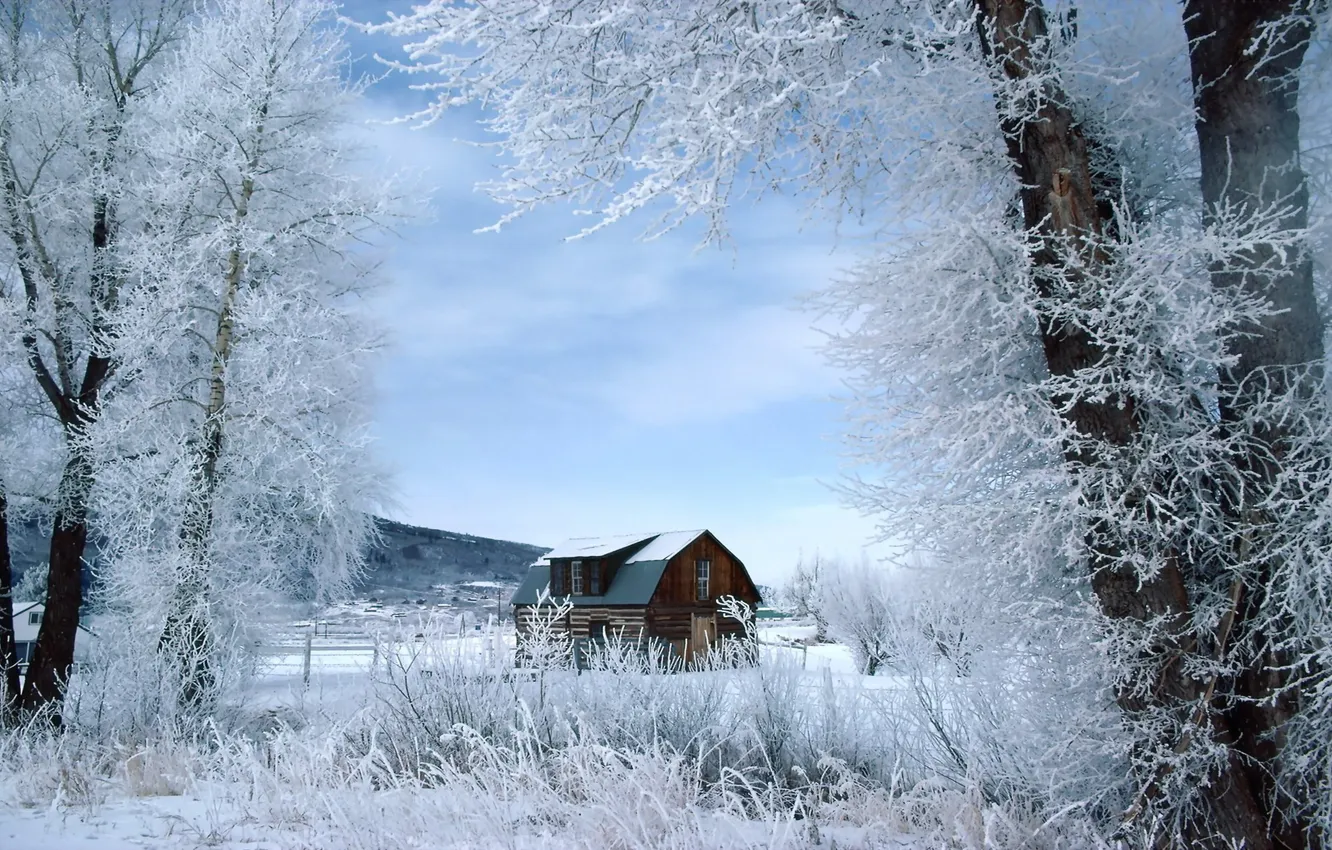 Фото обои зима, снег, дом
