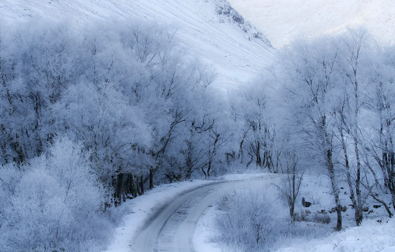 Фото обои зима, дорога, снег