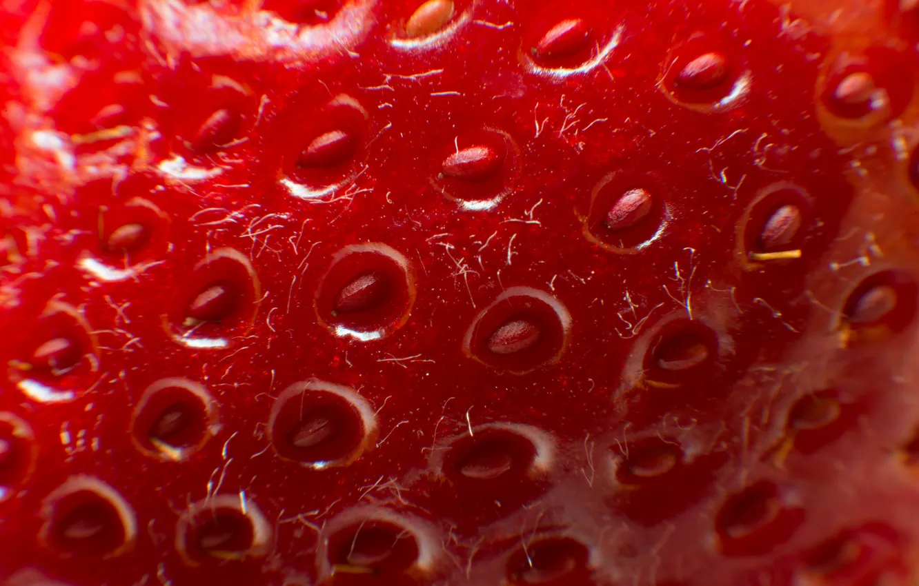 Фото обои текстура, клубника, ягода