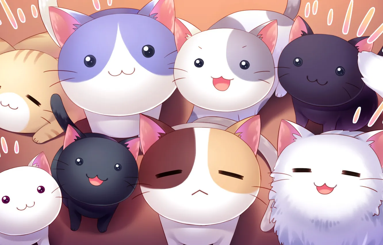 Фото обои котята, милашки, котики, няшки, Nyan Cafe Macchiato