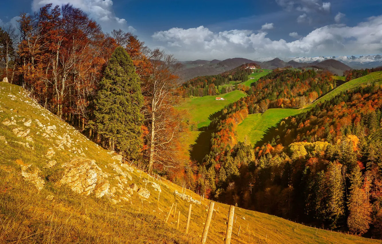 Фото обои осень, небо, солнце, облака, деревья, холмы, поля, Швейцария