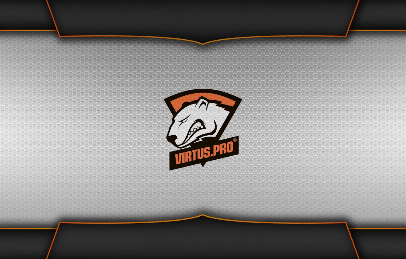 Фото обои gamer, team, cs:go, virtus.pro, pro, pro team, pro gamer