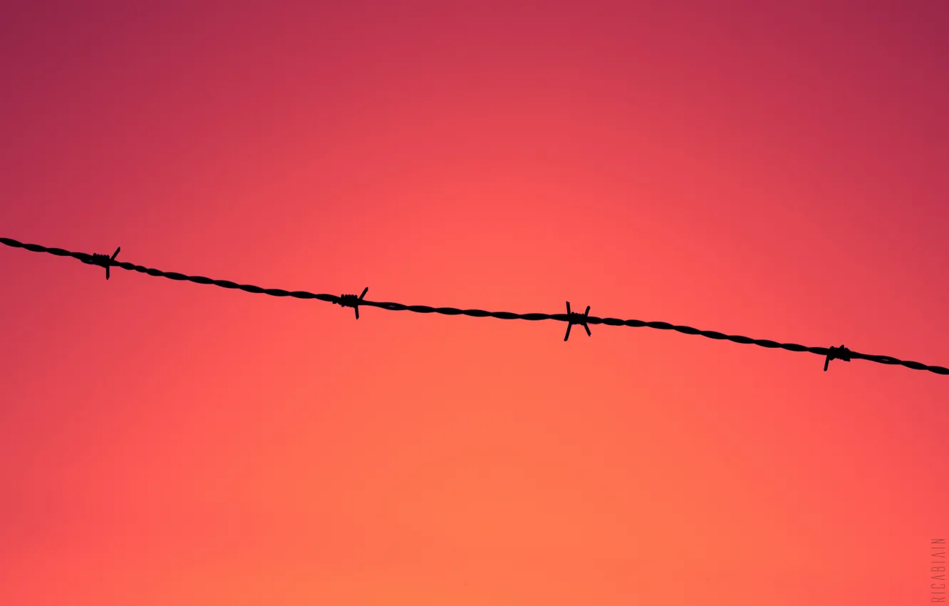 Фото обои sunset, fence, wire