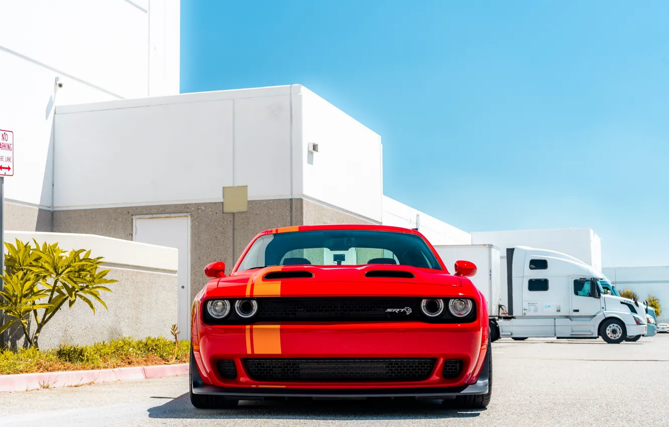 Фото обои Dodge, Challenger, Truck, SRT Hellcat