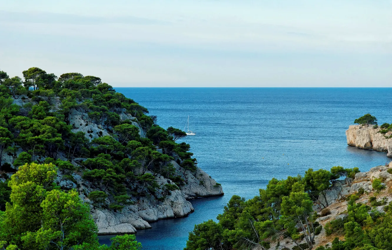 Фото обои море, деревья, камни, скалы, берег, Франция, яхта, горизонт
