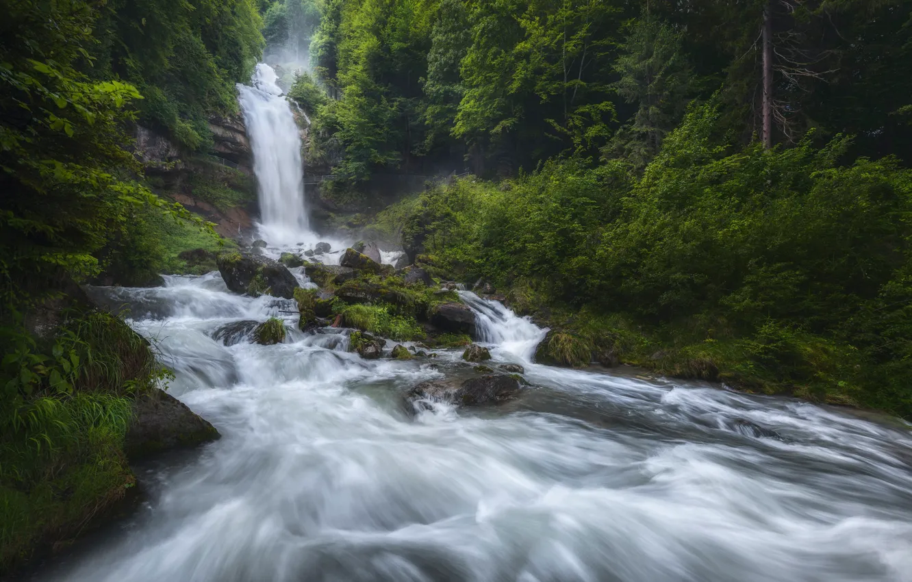 Фото обои лес, скала, река, водопад, Швейцария, Switzerland, Водопад Гиссбах, Река Гиссбах