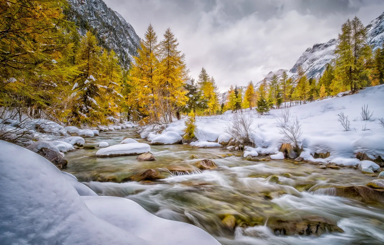 Фото обои осень, снег, деревья, горы, река, ручей