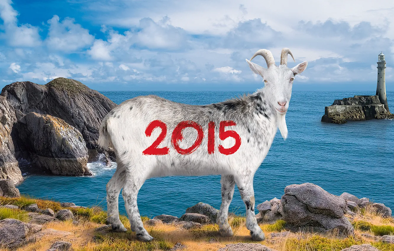 Фото обои пейзаж, новый год, коза, козёл, год козы