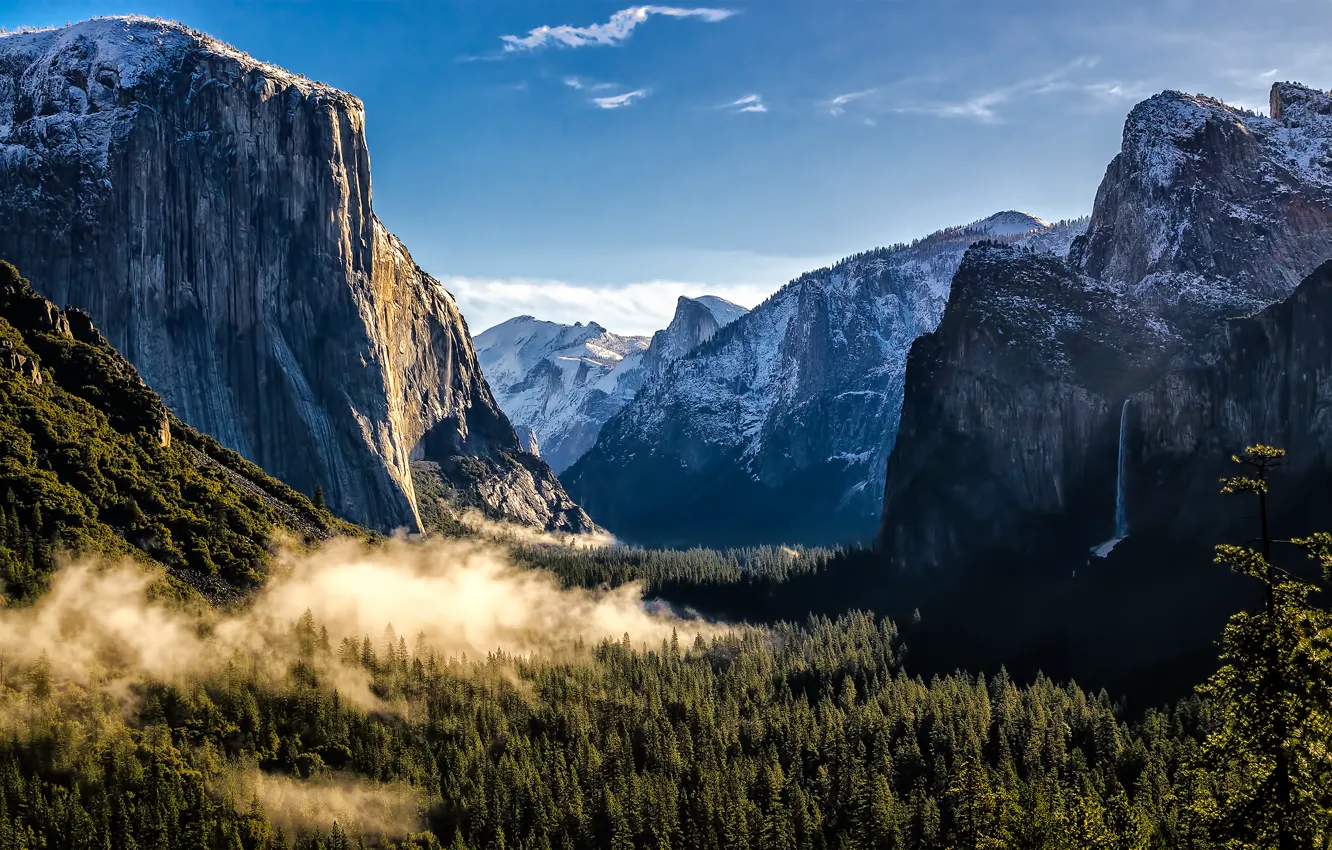 Фото обои лес, горы, USA, США, Национальный парк Йосемити, Yosemite National Park, State California, Штат Калифорния