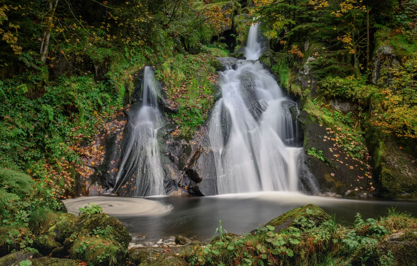 Фото обои осень, лес, Германия, водопады, каскад, Germany, Баден-Вюртемберг, Baden-Württemberg