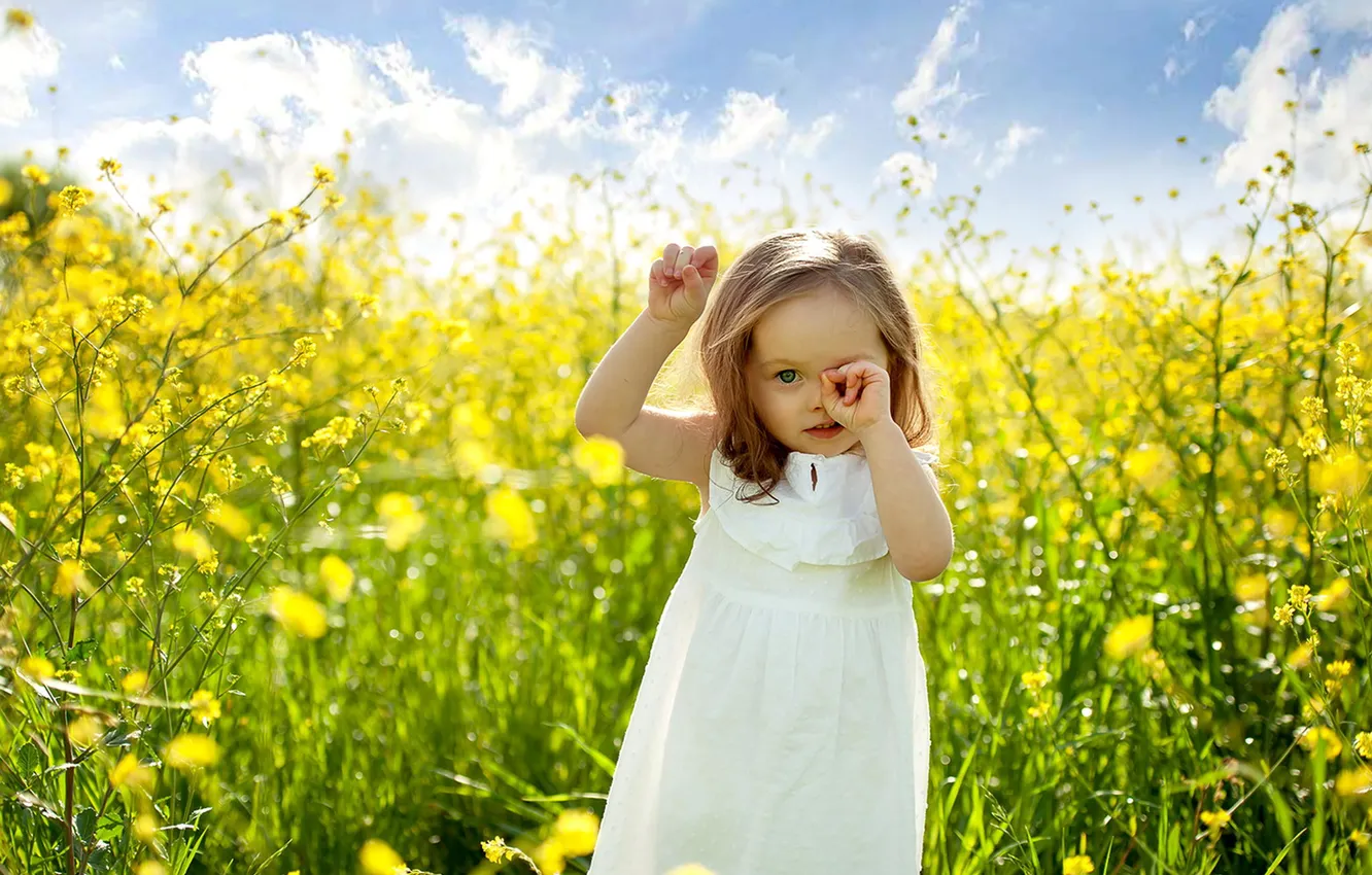 Фото обои поле, лето, цветы, ребенок, девочка