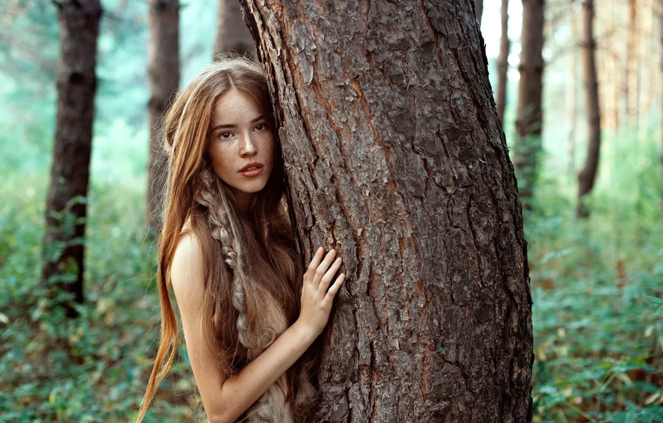 Фото обои лес, девушка, деревья, природа, дерево, веснушки, ствол, коса