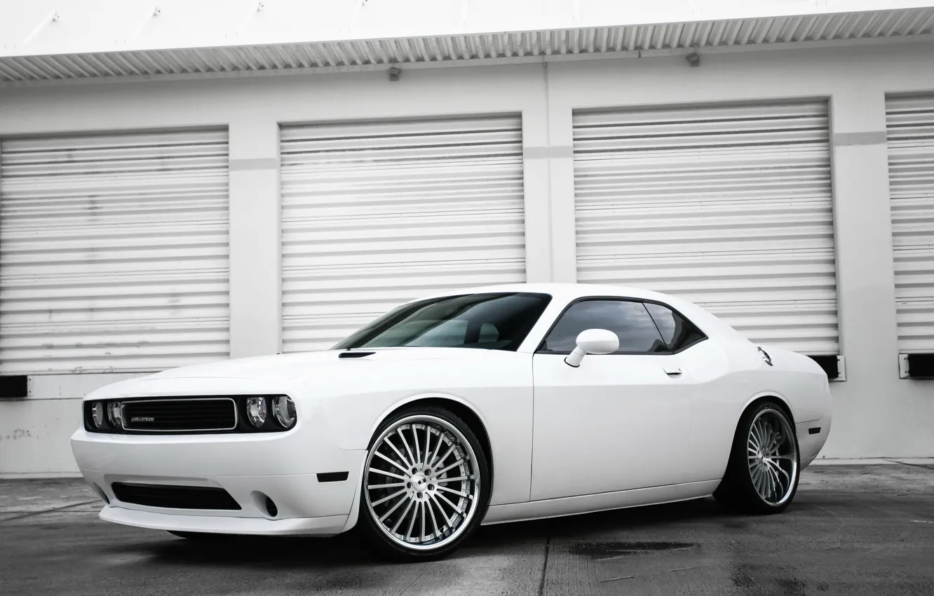 Фото обои Dodge, Challenger, white