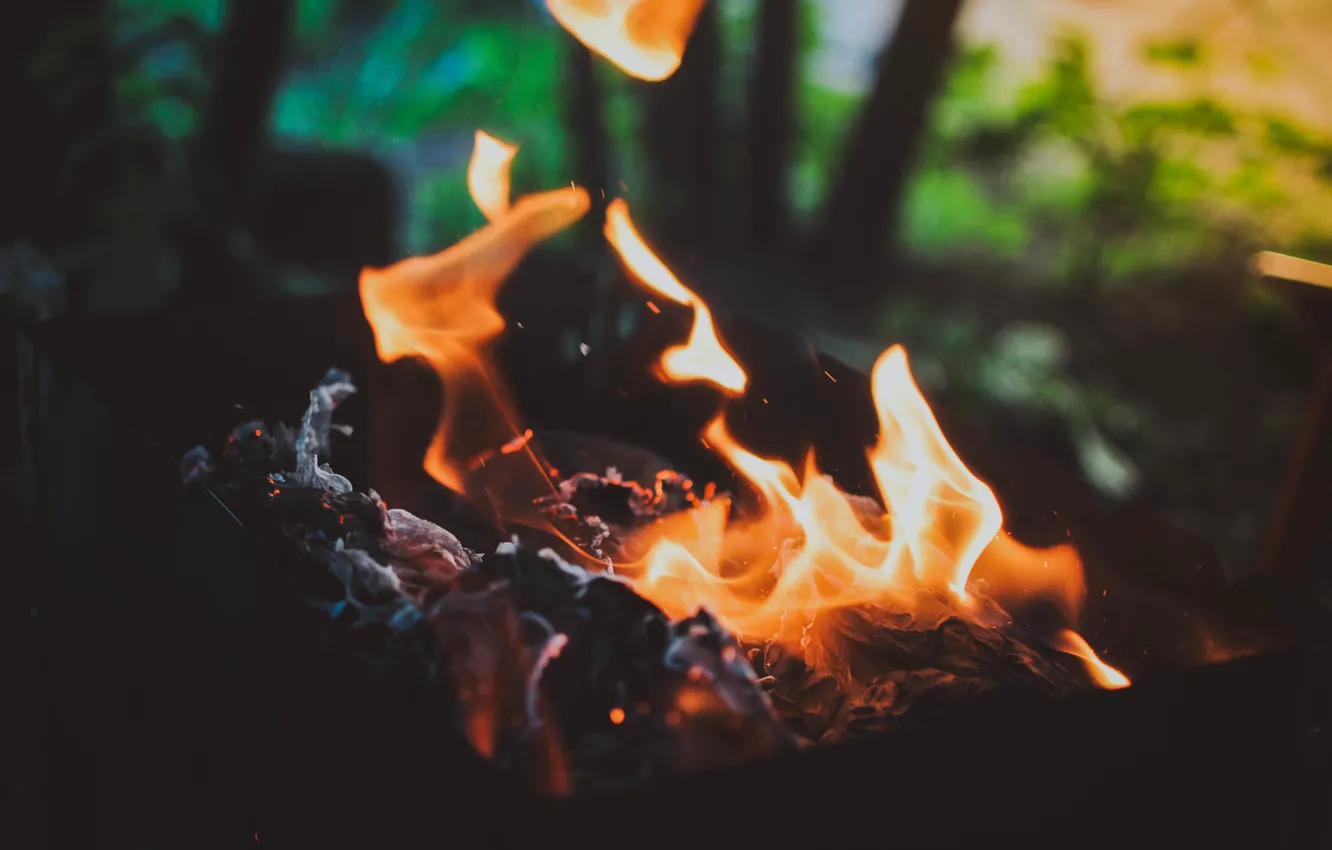 Фото обои макро, огонь, костер, угли, шашлык