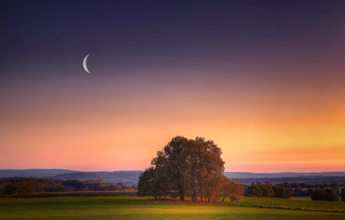 Фото обои поле, закат, луна, вечер, місяць