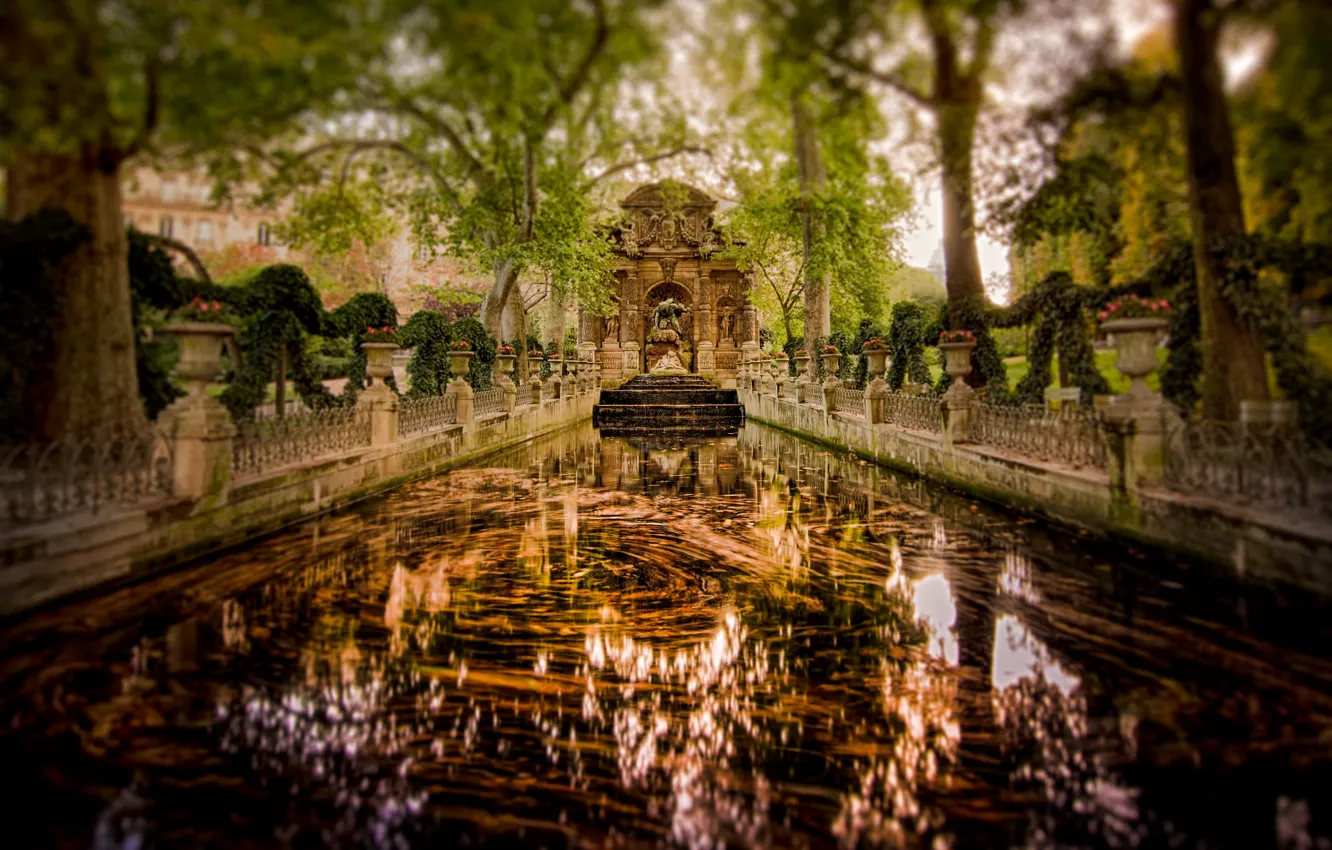 Фото обои деревья, отражение, Франция, Париж, сад, зеркало, фонтан Медичи