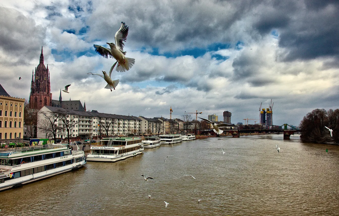 Фото обои небо, облака, мост, река, птица, корабль, дома, Германия