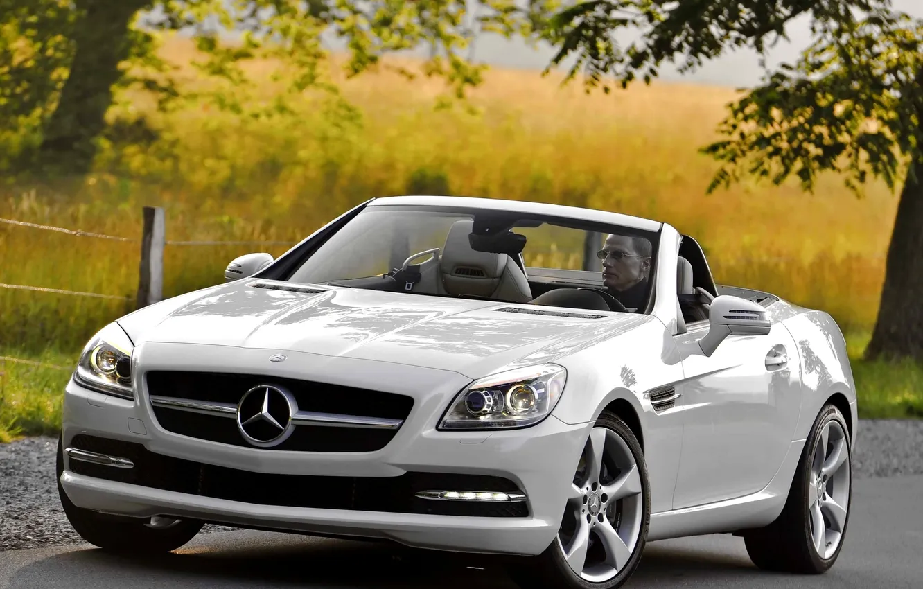 Фото обои белый, деревья, родстер, mercedes-benz, мерседес, slk, 350