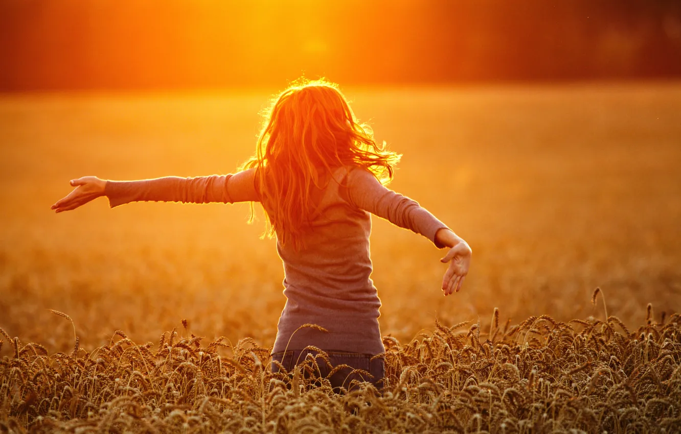 Фото обои пшеница, поле, пейзаж, закат, природа, Девушка