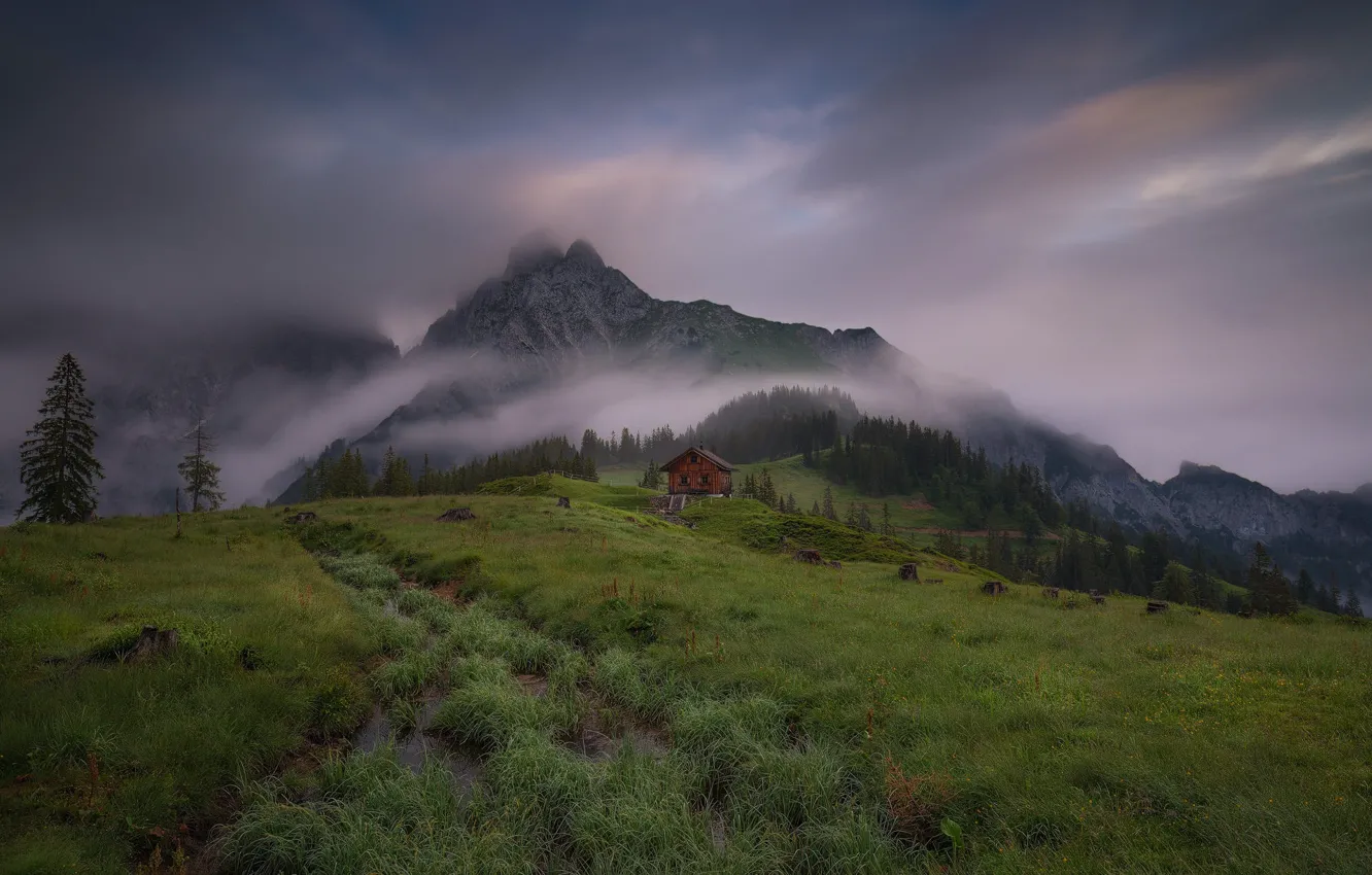 Фото обои лес, горы, Альпы, домик