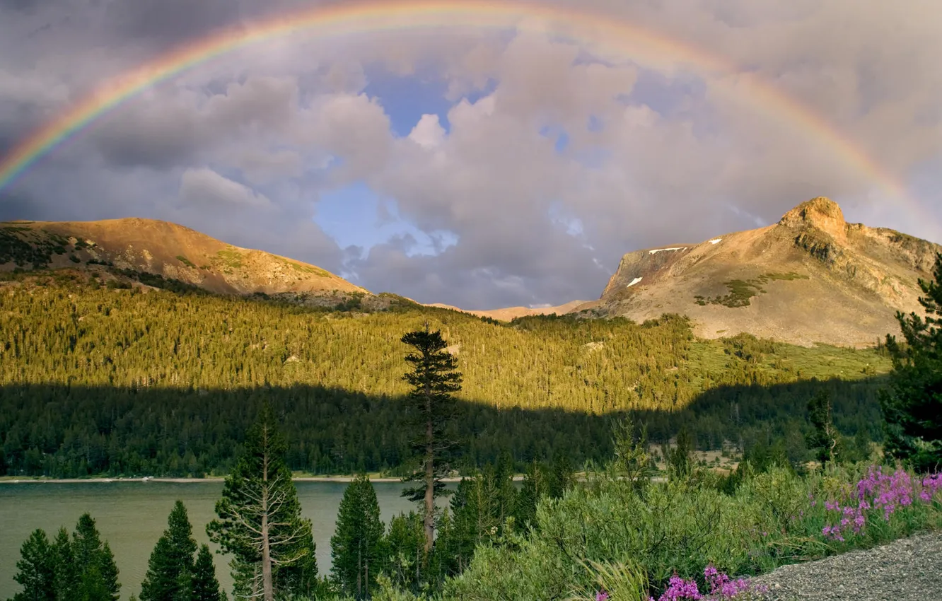 Фото обои облака, деревья, цветы, горы, природа, радуга