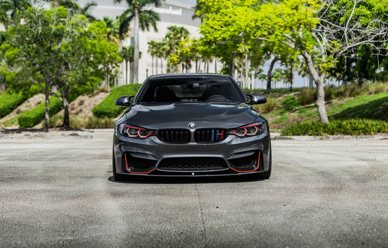 Фото обои BMW, Front, Face, Sight, F83, Evel