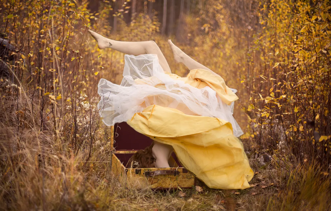 Фото обои осень, лес, девушка, платье, чемодан, ноги вверх
