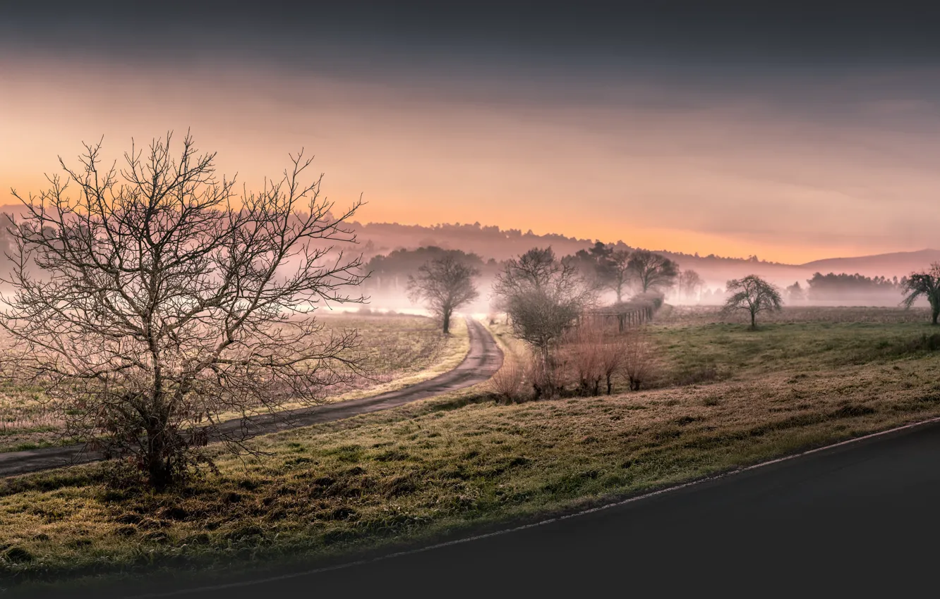 Фото обои дорога, поле, туман