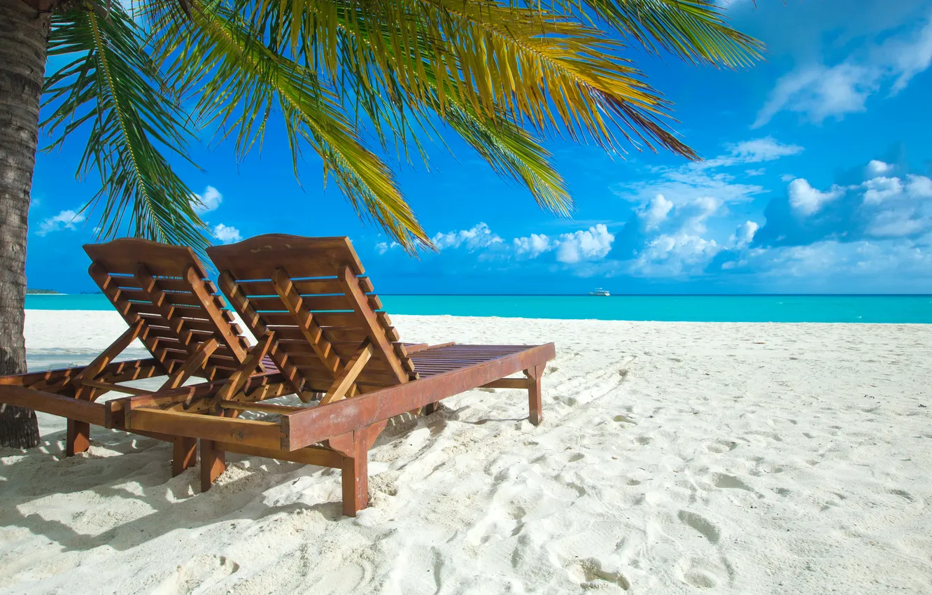 Фото обои песок, море, волны, пляж, лето, небо, пальмы, берег