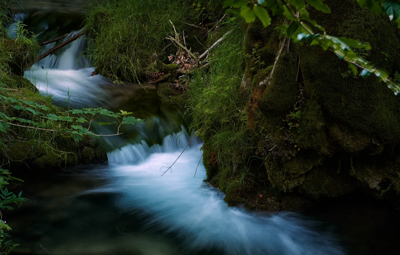 Фото обои трава, природа, ручей, камни, водопад, мох