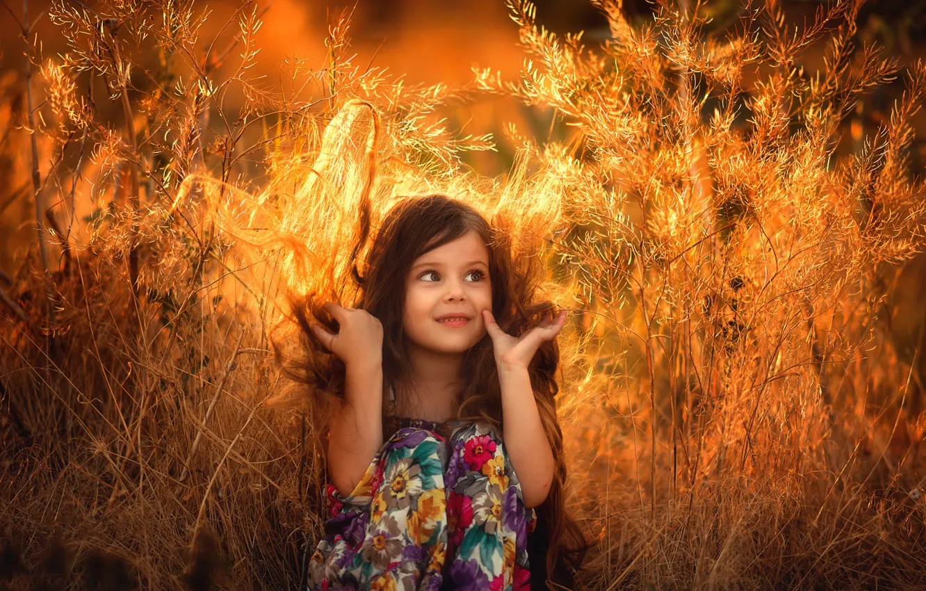Фото обои лето, трава, солнце, свет, закат, ветки, природа, лицо