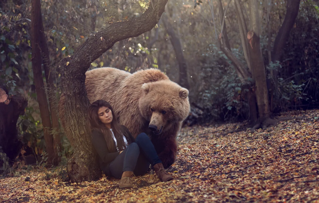 Фото обои лес, девушка, медведь