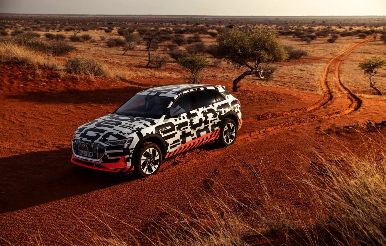 Фото обои Audi, растительность, пустыня, 2018, E-Tron Prototype