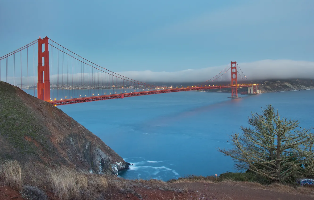 Фото обои мост, огни, вечер, Сан-Франциско