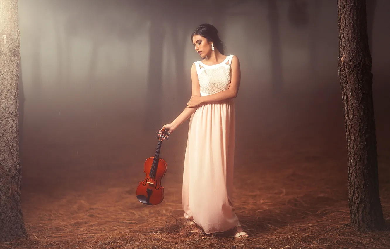 Фото обои лес, девушка, настроение, скрипка, платье