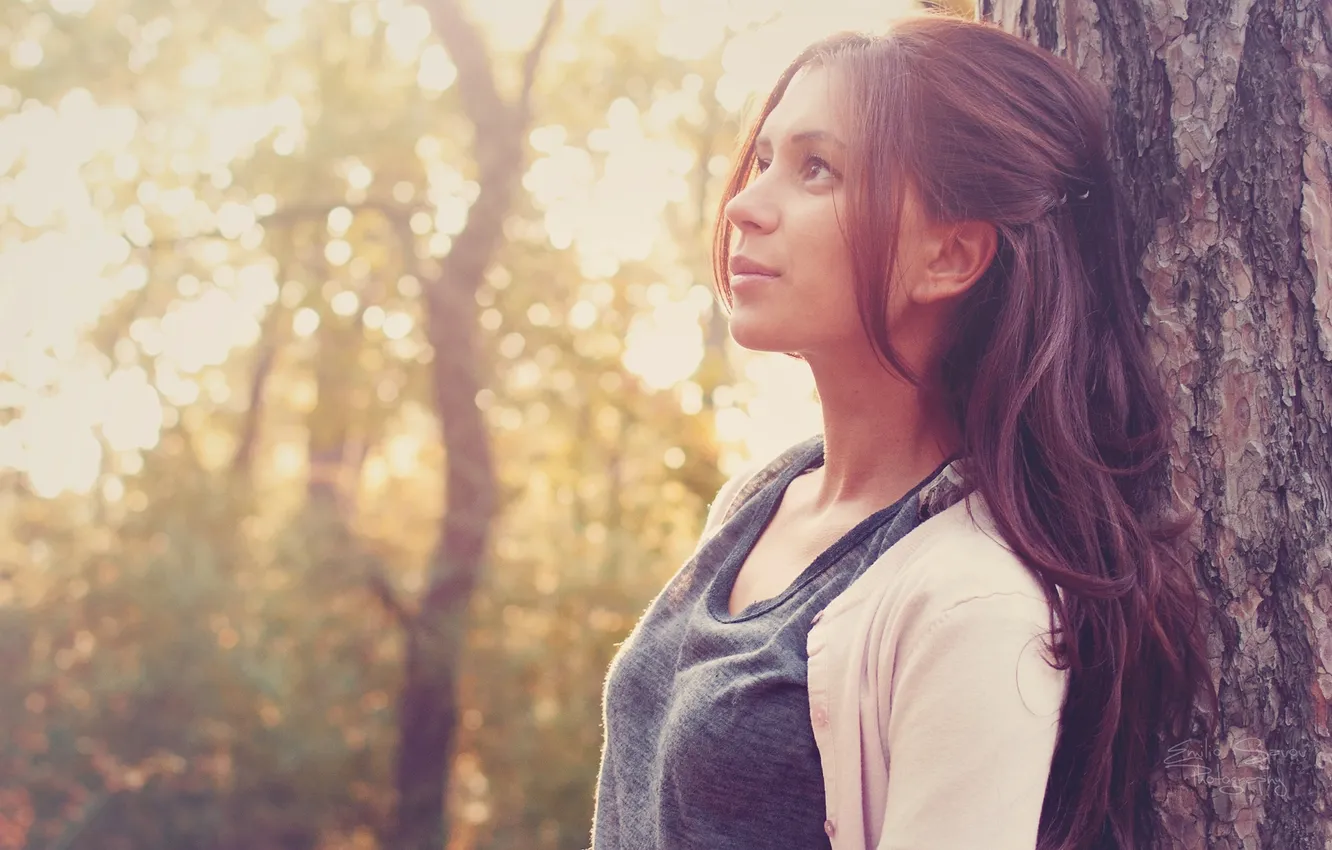 Фото обои Girl, Beautiful, Tree, Sun, Summer, Pretty, Late, Woods