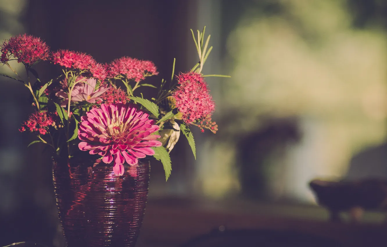 Фото обои цветы, лепестки, ваза