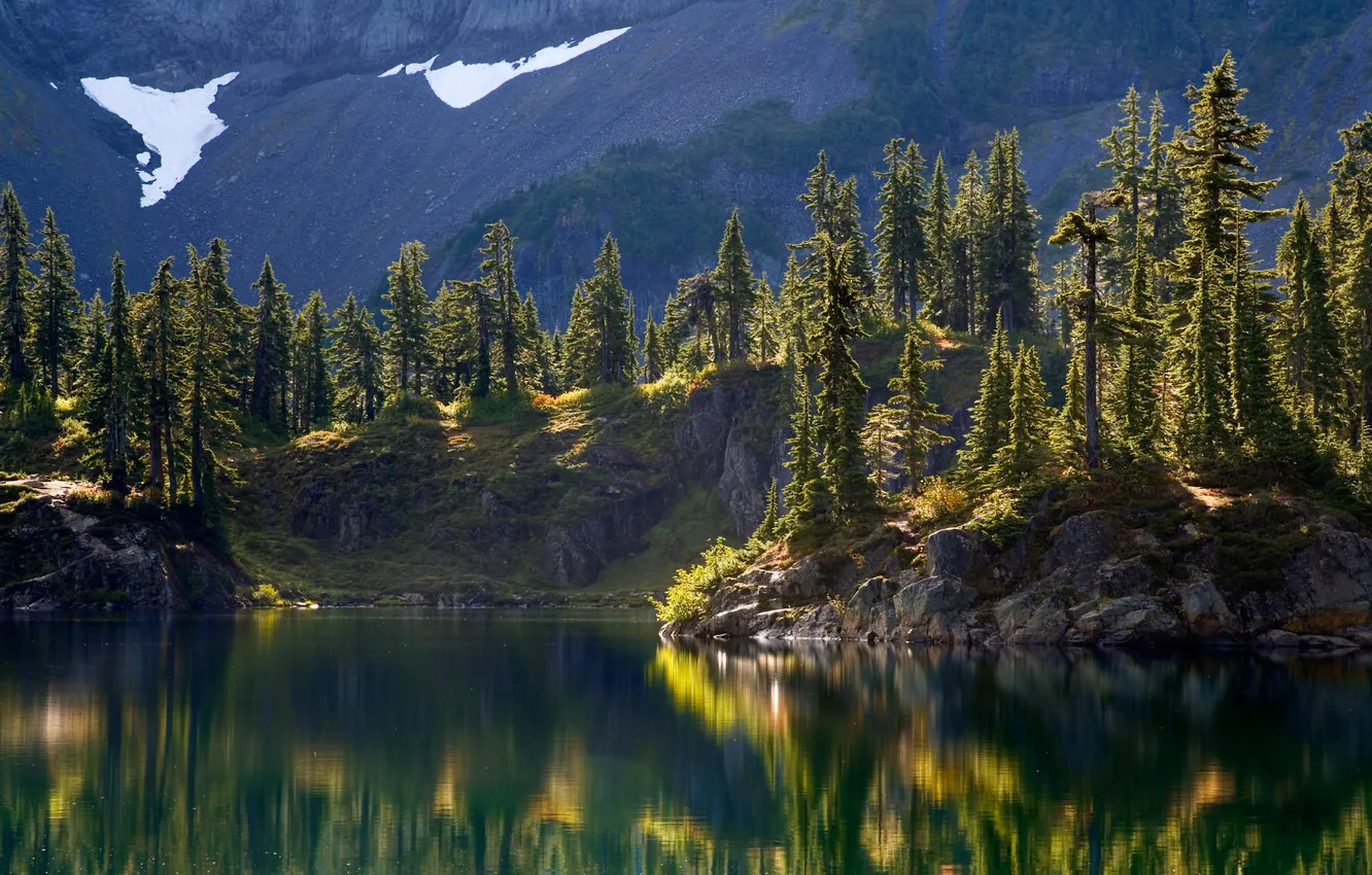 Фото обои деревья, горы, природа, озеро, отражение, ели