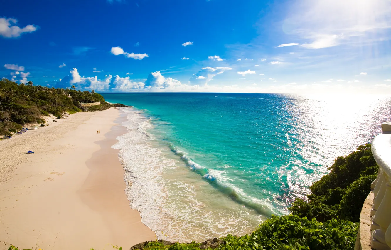 Фото обои песок, море, пляж, трава, тропики