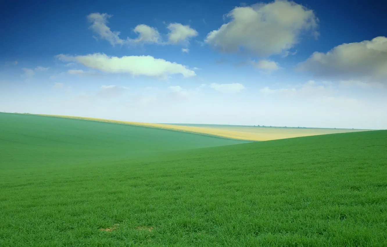 Фото обои небо, трава, поля, луга, просторы