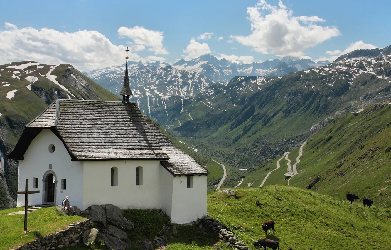 Фото обои grass, view, Austria, Alps, church, cows