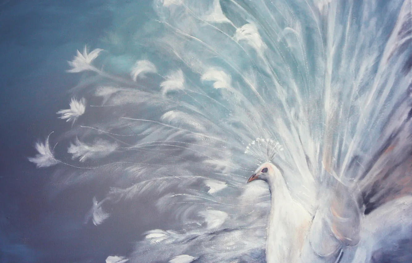 Фото обои перья, хвост, птица, белый павлин, живопись, павлин