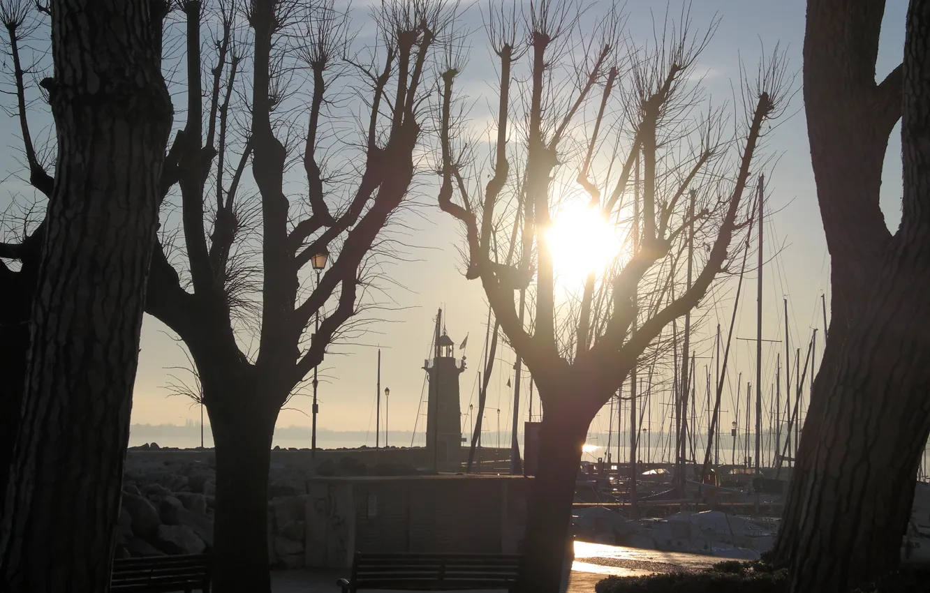 Фото обои деревья, маяк, утро, Италия, озеро Гарда, Дезенцано-дель-Гарда