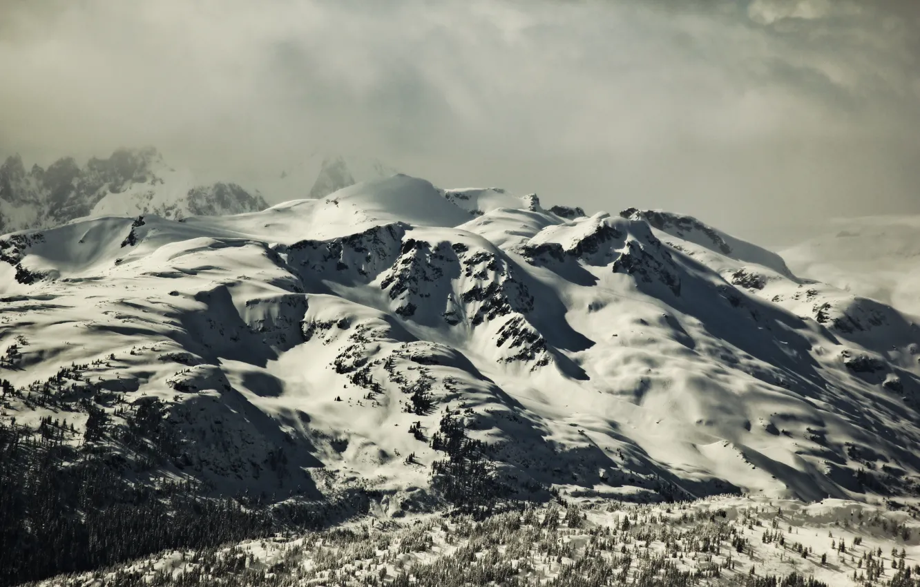 Фото обои trees, winter, clouds, mountain, snow, fog, hills, pines