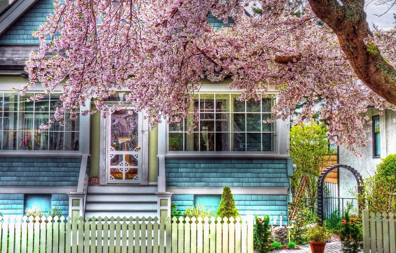 Фото обои природа, дом, фото, дерево, цвет, HDR, весна, домик