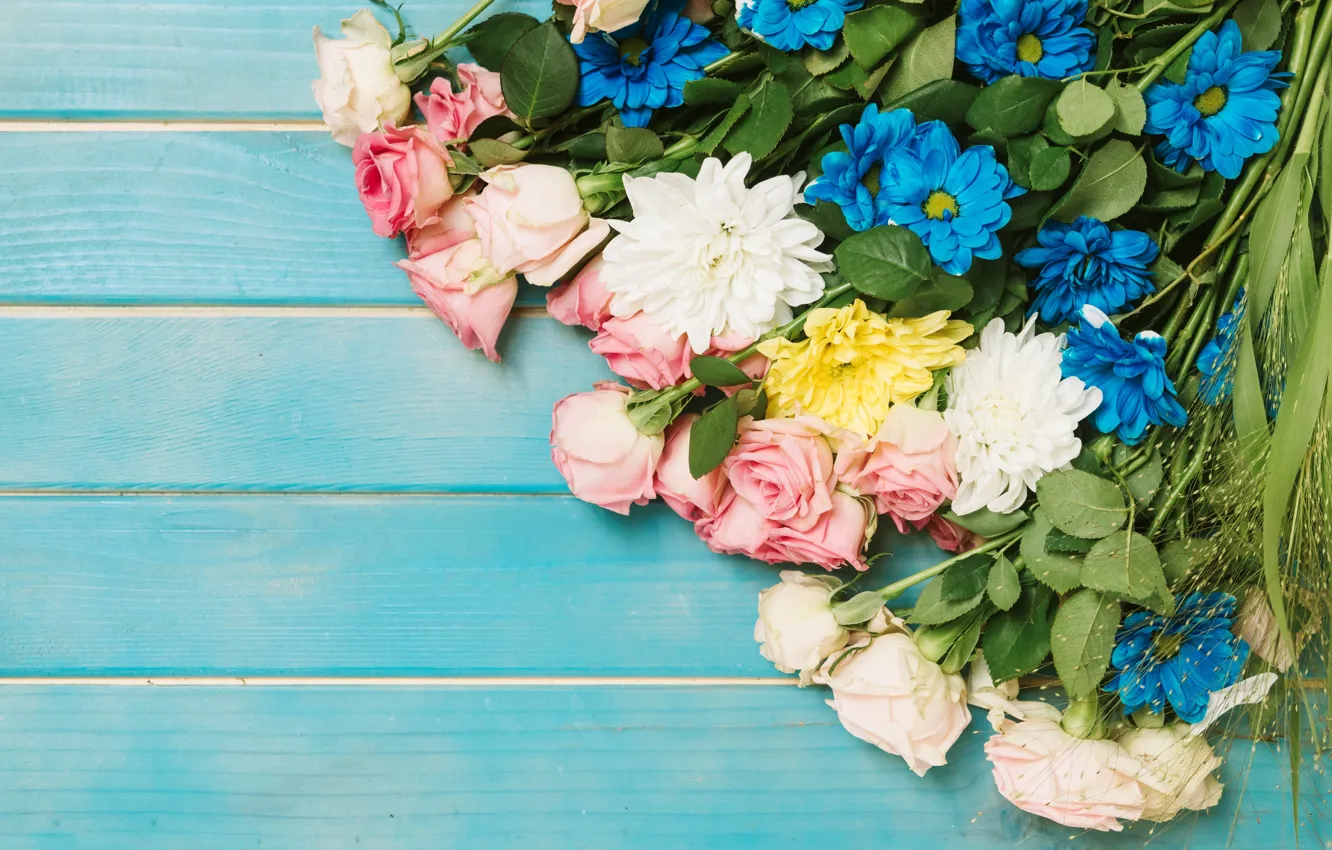 Фото обои цветы, розы, colorful, розовые, бутоны, fresh, хризантемы, pink