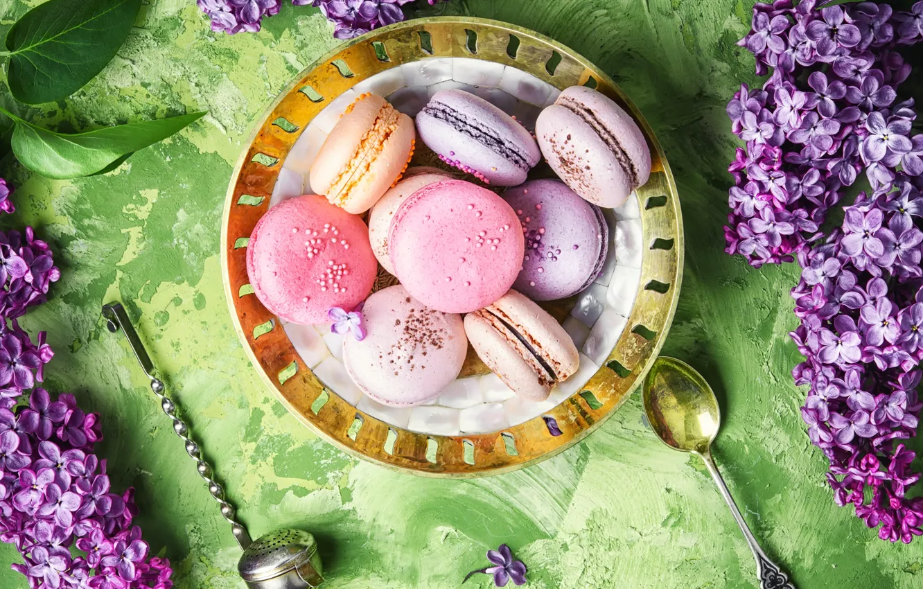 Фото обои цветы, flowers, сирень, macaroons, macaron, lilac, макаруны