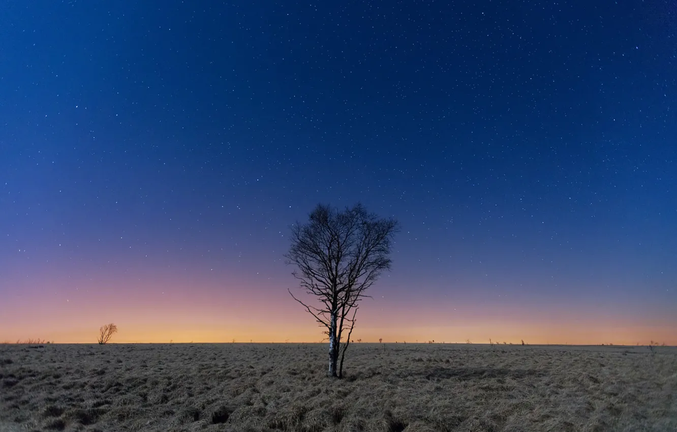 Фото обои space, sky, field, night, stars, tree, moonlight, countryside