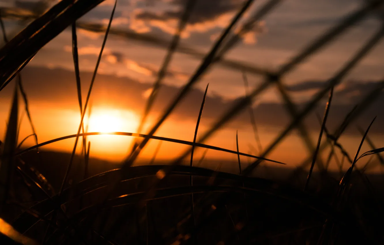 Фото обои Sky, Grass, Sunset, Summer, Moody, Dusk, Melancholy